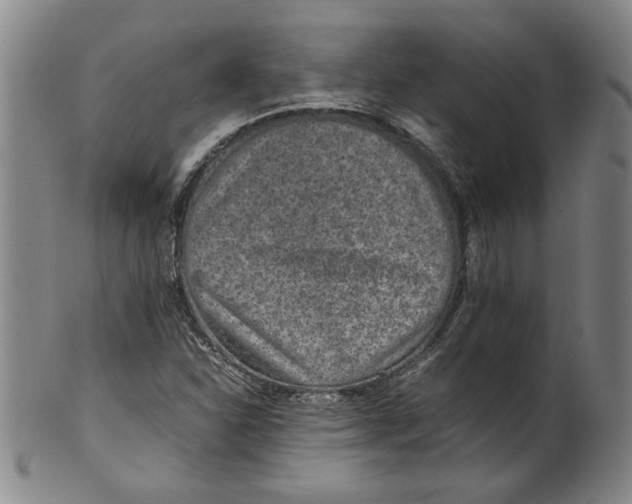X0000100401310200806271411