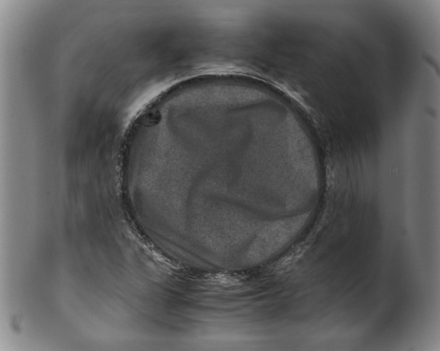 X0000100401311200806271411