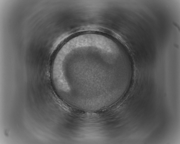 X0000100401312200806271411