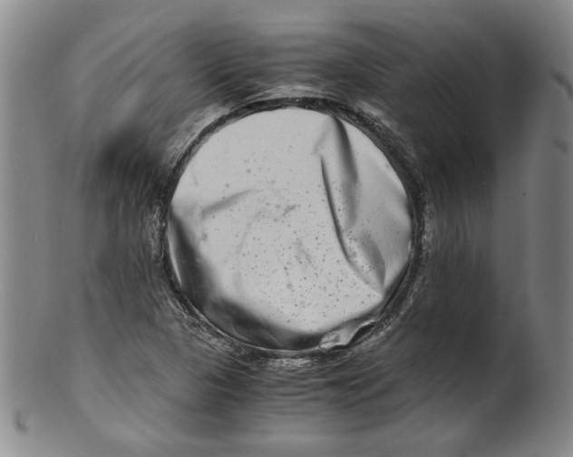 X0000100401313200806271411