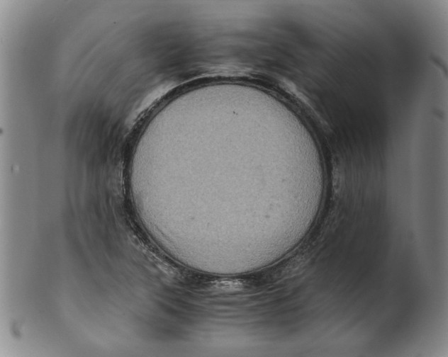 X0000100401315200806271411