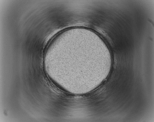 X0000100401316200806271411