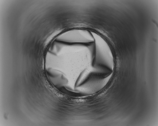X0000100401317200806271411
