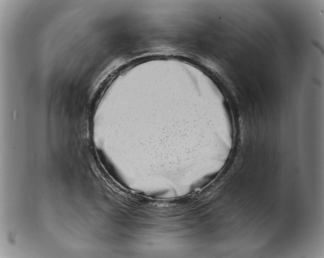 X0000100401318200806271411