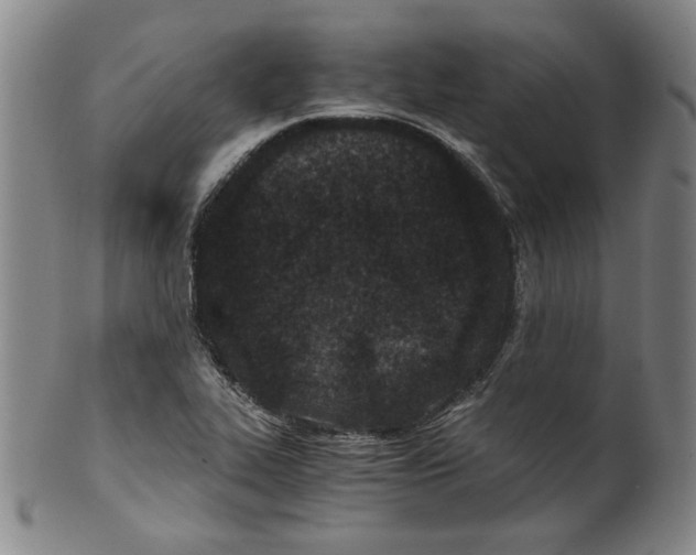 X0000100401319200806271411