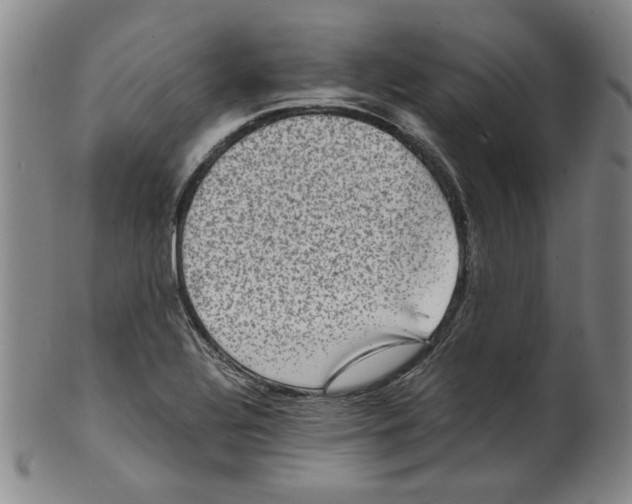 X0000100401320200806271411