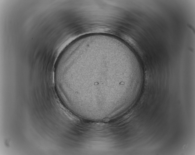 X0000100401324200806271411