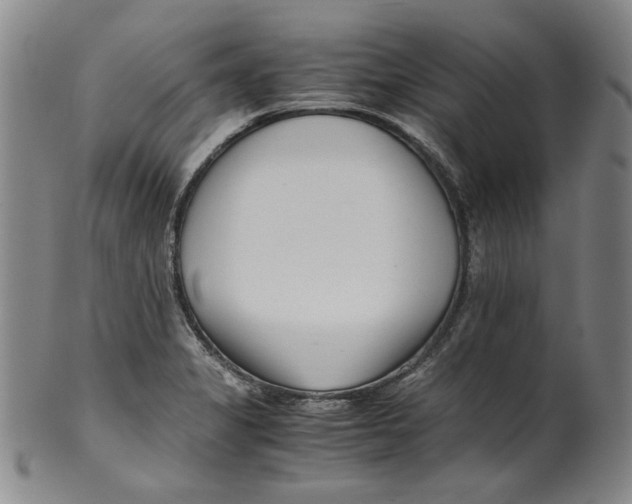 X0000100401325200806271411