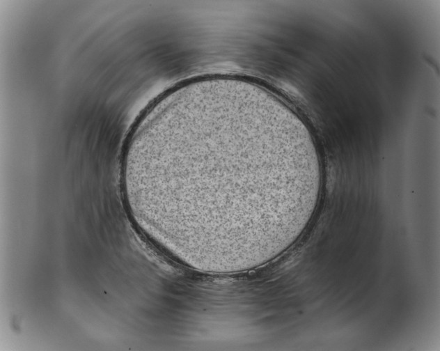 X0000100401326200806271411