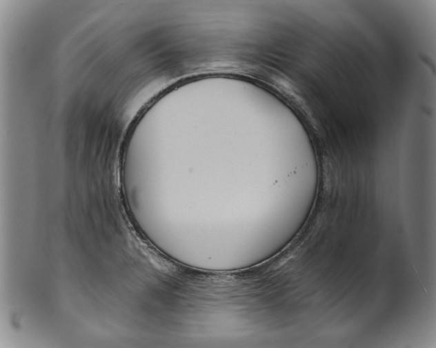 X0000100401328200806271411
