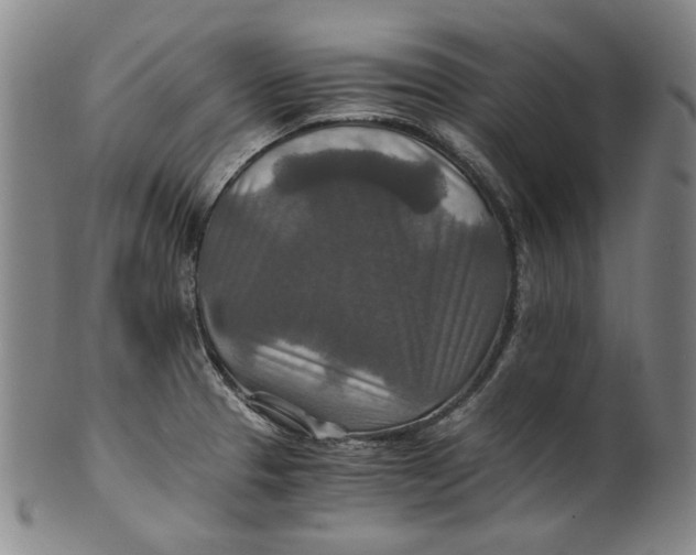 X0000100401329200806271411