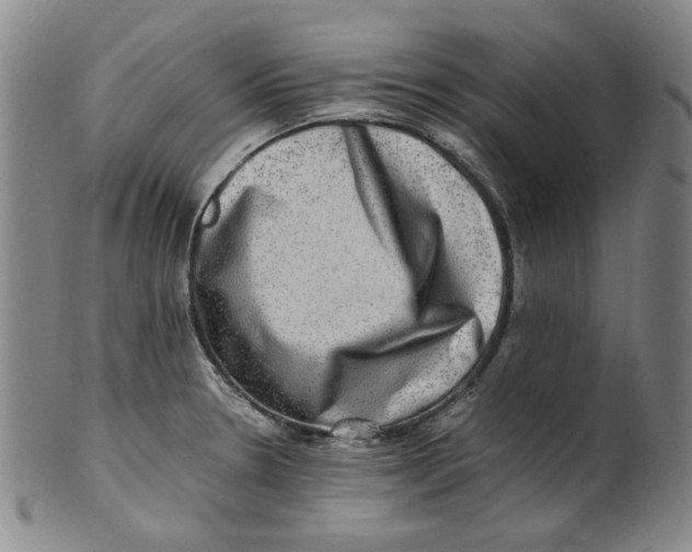 X0000100401330200806271411