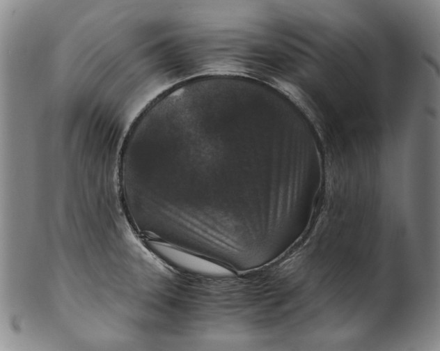 X0000100401331200806271411