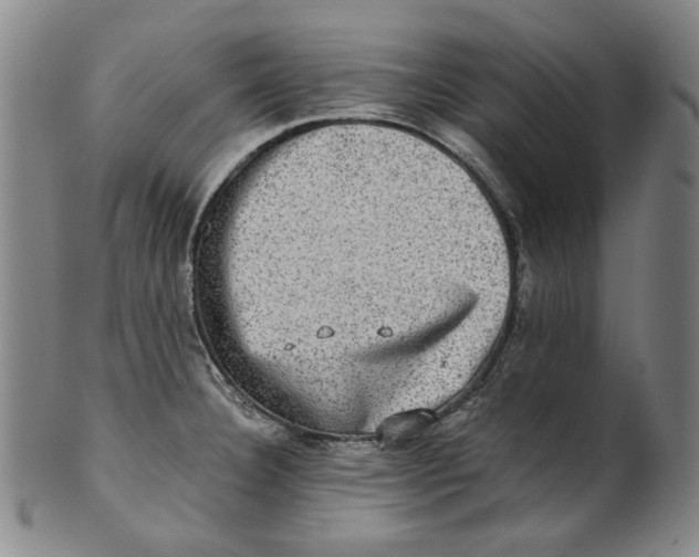 X0000100401332200806271411