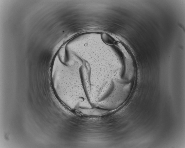 X0000100401333200806271411