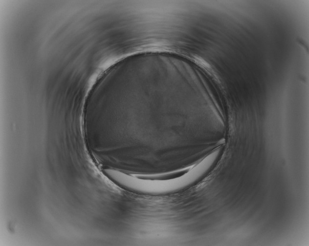 X0000100401334200806271411