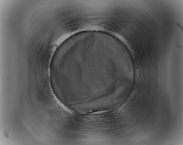 X0000100401335200806271411