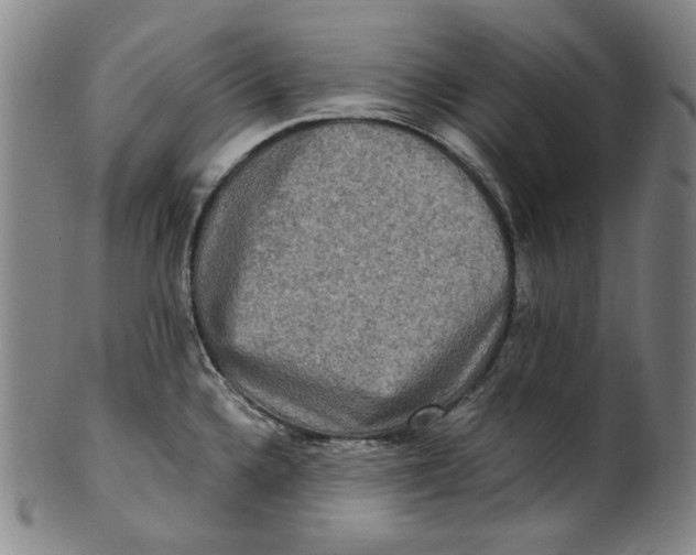 X0000100401336200806271411