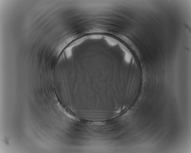 X0000100401337200806271411