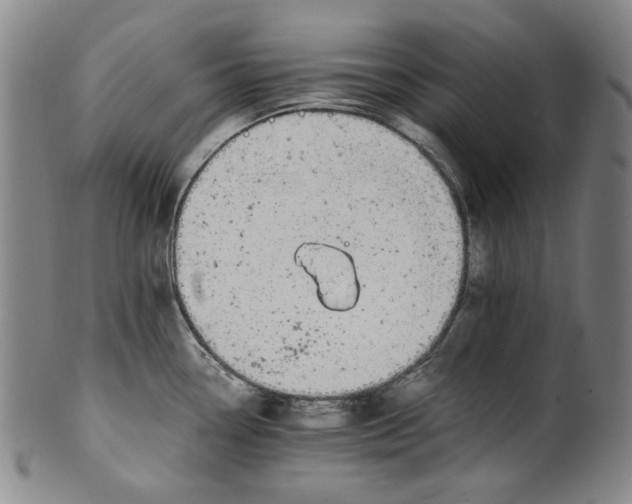 X0000100401338200806271411