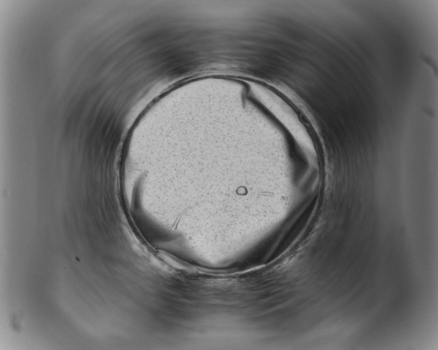 X0000100401341200806271412