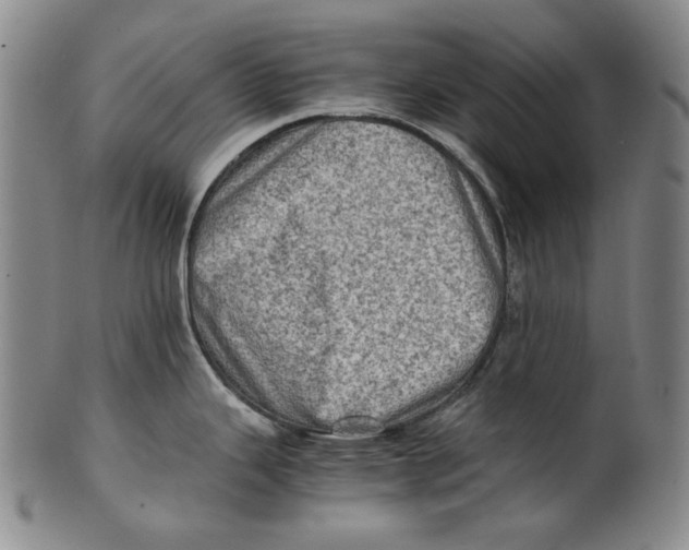 X0000100401343200806271412