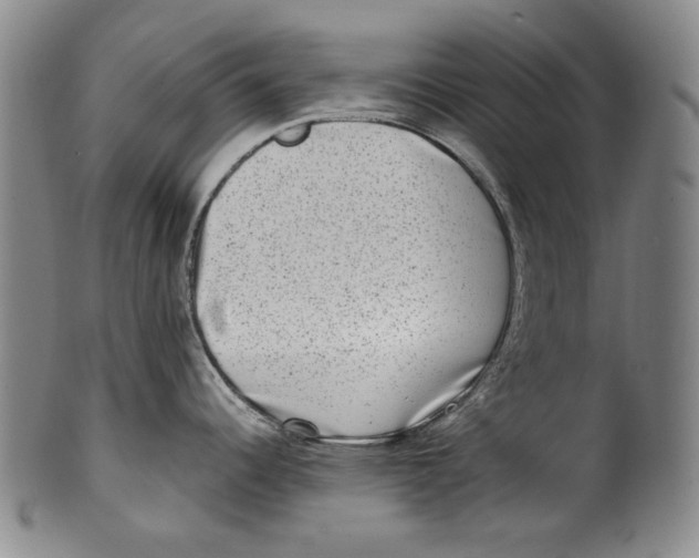 X0000100401344200806271412