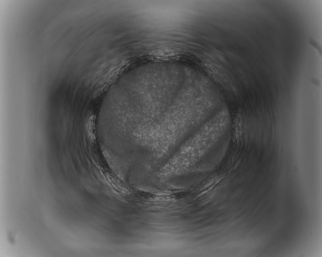 X0000100401346200806271411