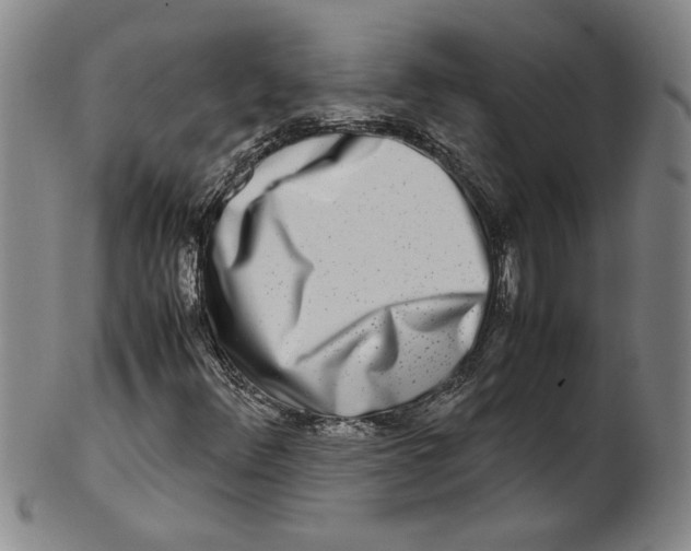 X0000100401348200806271411