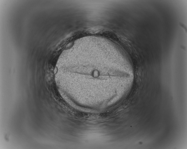 X0000100401349200806271411