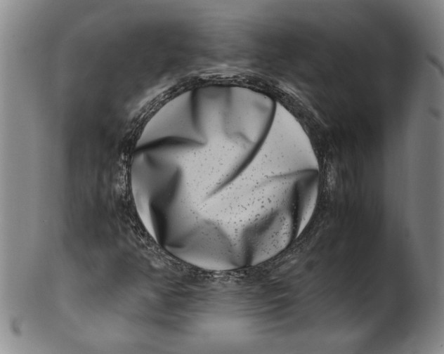 X0000100401350200806271411