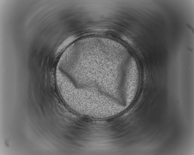 X0000100401354200806271411