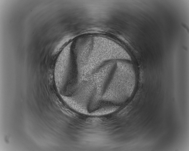 X0000100401355200806271411