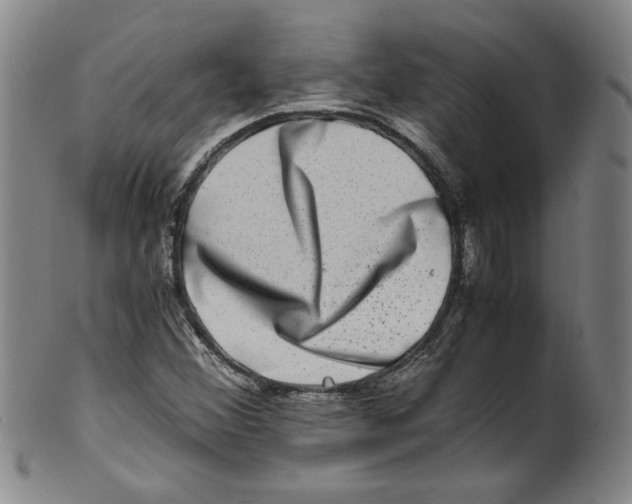 X0000100401356200806271411