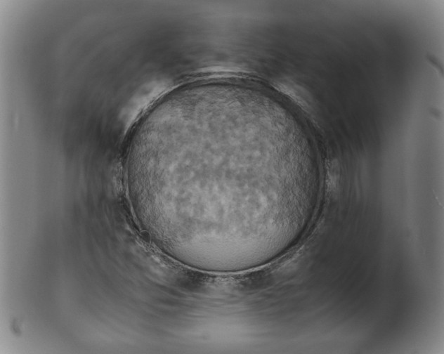 X0000100401357200806271411