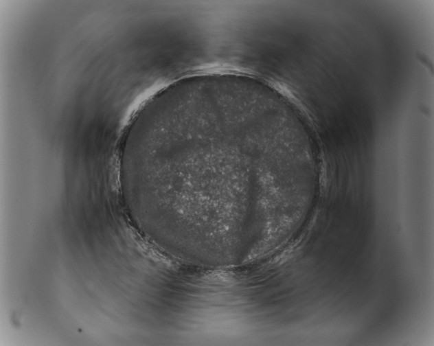 X0000100401358200806271411