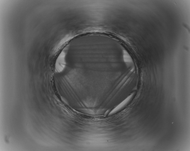 X0000100401359200806271411