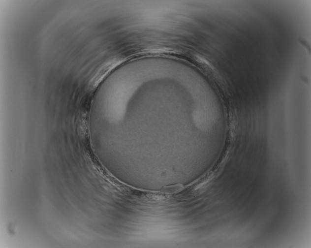 X0000100401361200806271411