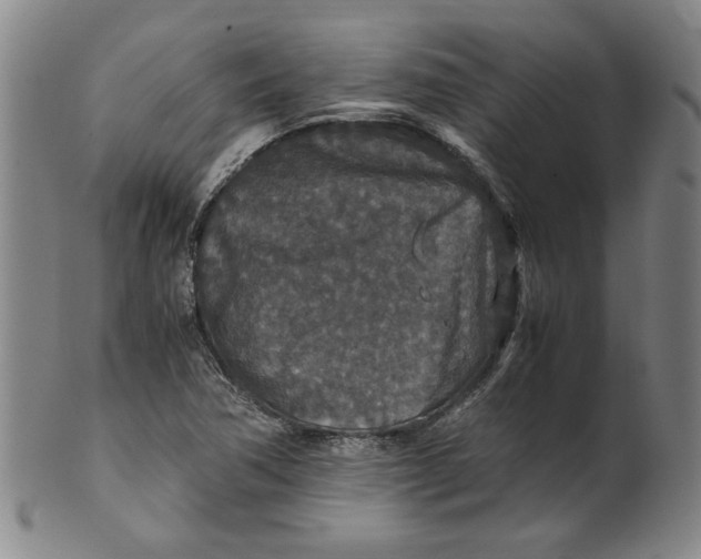 X0000100401362200806271411
