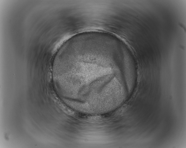 X0000100401363200806271411