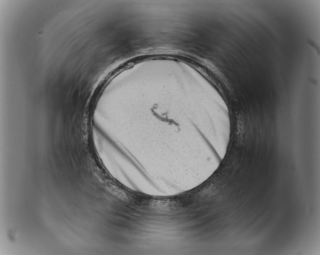X0000100401364200806271411