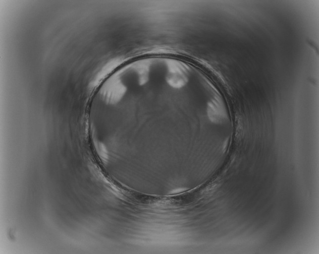 X0000100401367200806271411