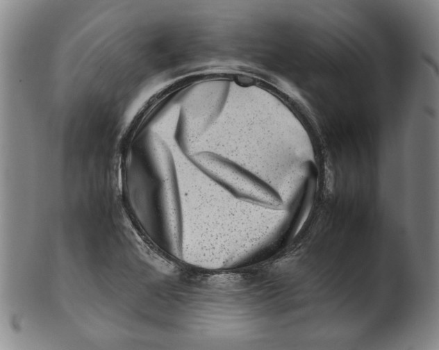 X0000100401368200806271411