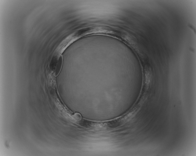 X0000100401369200806271410