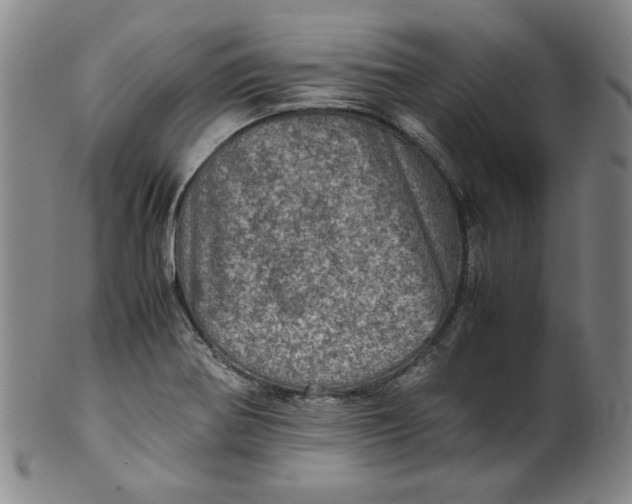 X0000100401370200806271410