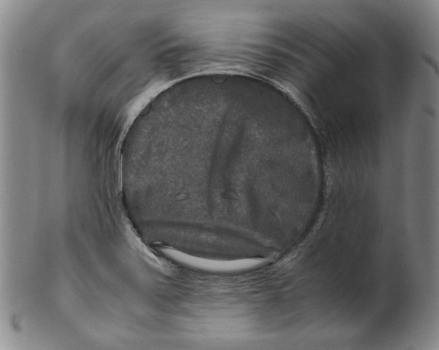 X0000100401371200806271410