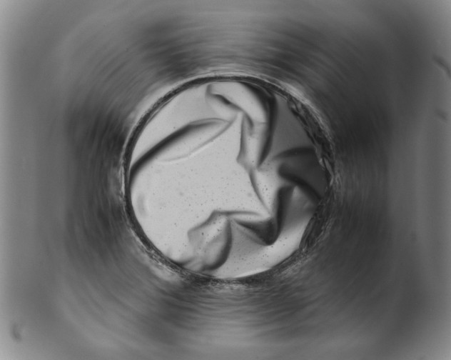 X0000100401372200806271410