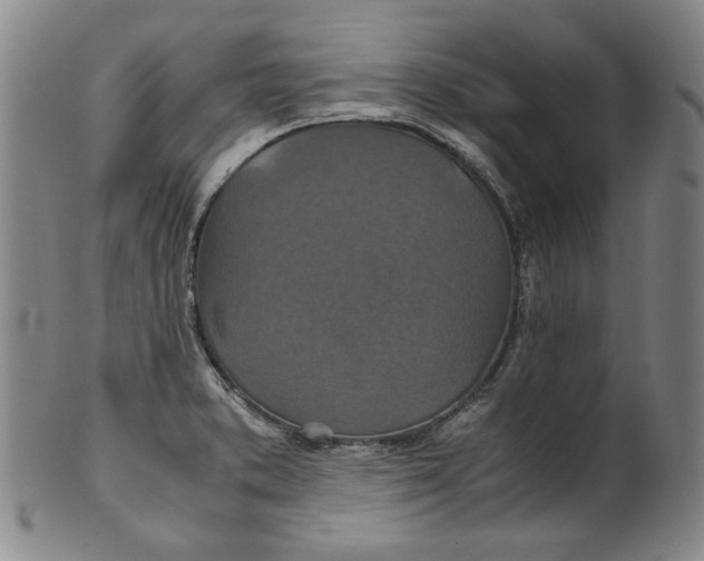 X0000100401373200806271410
