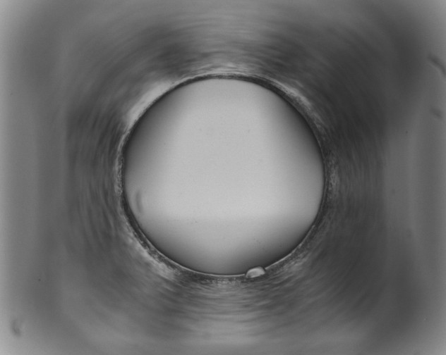 X0000100401375200806271410