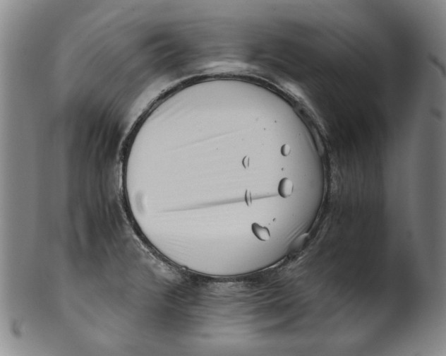X0000100401376200806271410